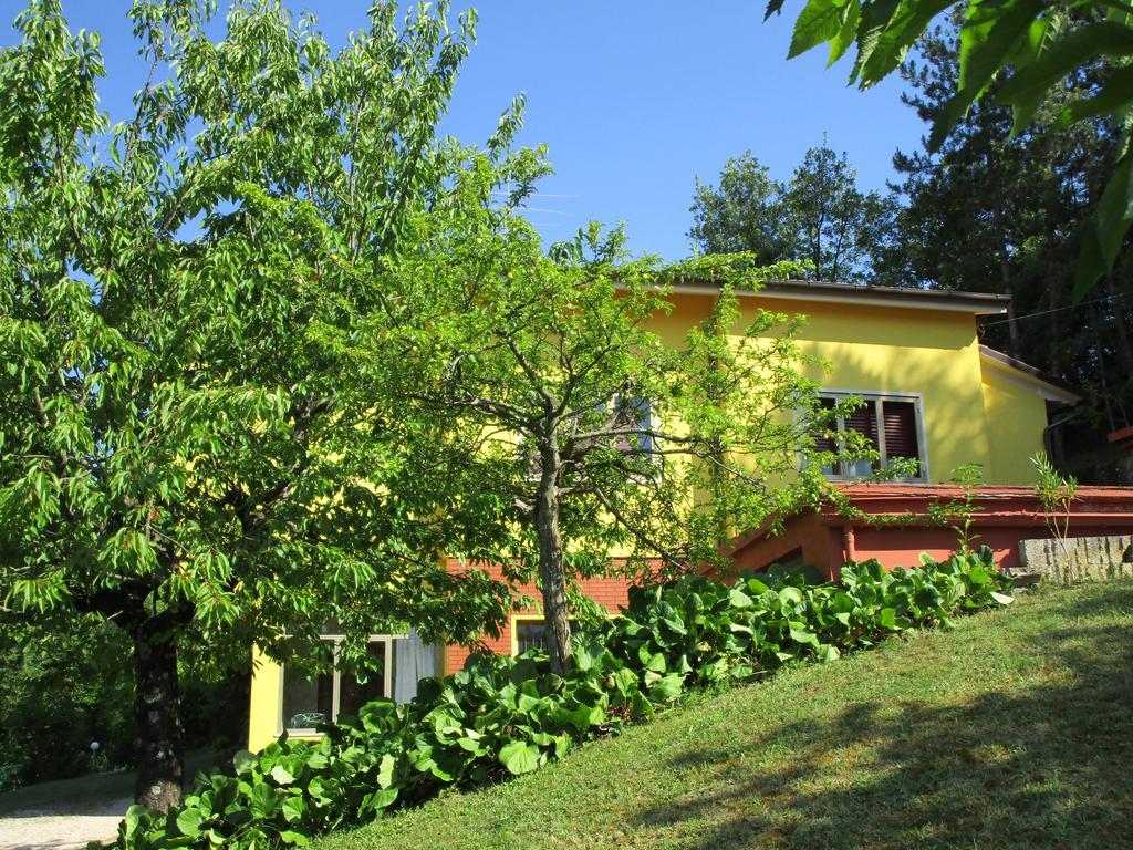 Casa Balducci Bed&Breakfast Mercatello sul Metauro Exterior photo